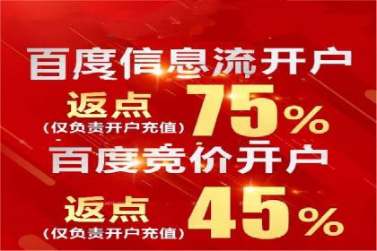 行业首例：SEM竞价优化案例的成效与启示